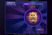 Jogar ao dinheiro do hamster com uma moca.