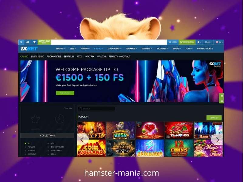 Jogar Hamster a dinheiro no 1Xbet Casino Jogar Hamster a dinheiro no 1Xbet Casino
