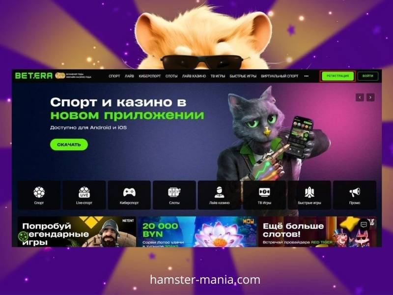 Jogar Hamster a dinheiro no Betera Casino Jogar Hamster a dinheiro no Betera Casino