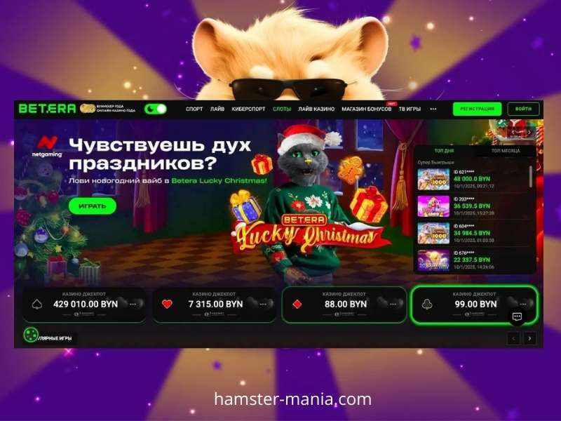 Informações sobre o Betera Casino