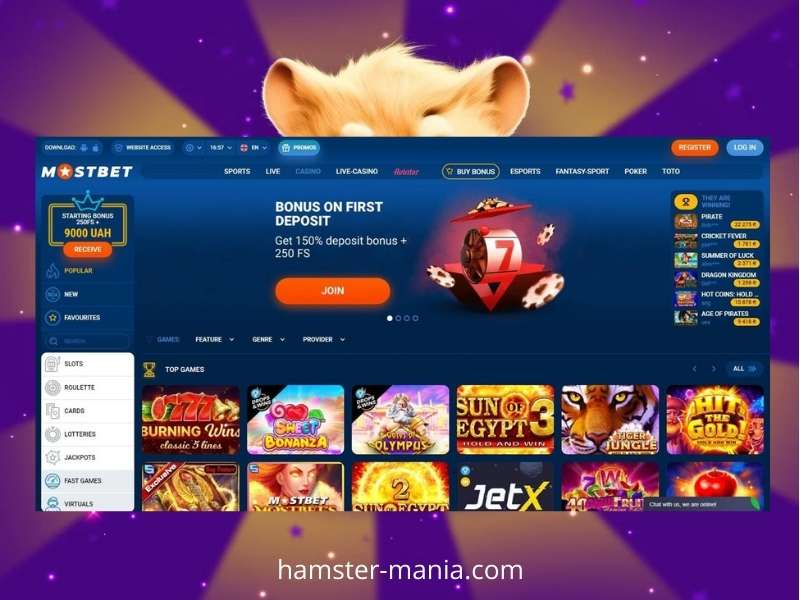 Jogar Hamster a dinheiro no Mostbet Casino Jogar Hamster a dinheiro no Mostbet Casino
