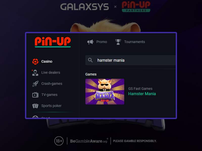 Como começar a jogar Hamster no Pin-Up Casino
