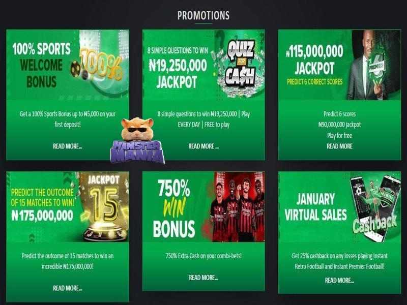 Jogar Hamster Mania na Premier Bet Jogar Hamster Mania na Premier Bet