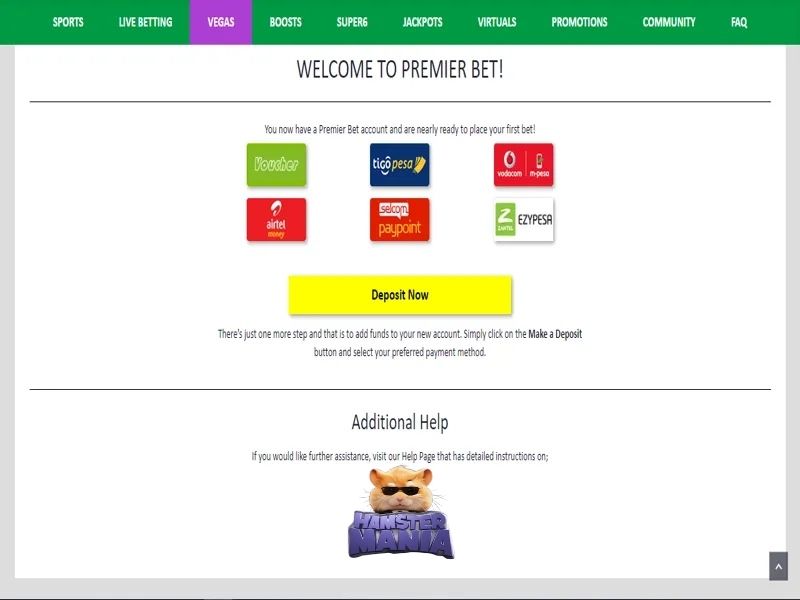 Fazer um depósito no Premier Bet Casino